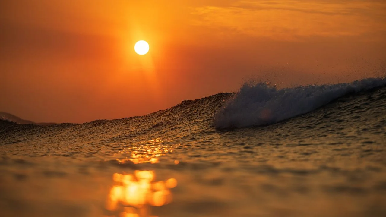 Record Ocean Temperatures Highlight the Impact of El Niño and Climate Change