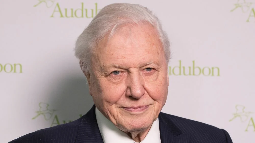Unlock the BBC’s Attenborough Collection Anywhere with Proton VPN