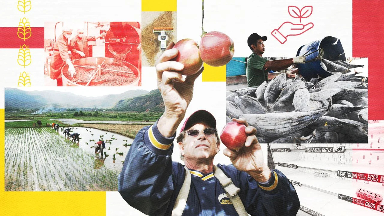 How Climate Change Threatens Global Food Security and Agricultural Stability