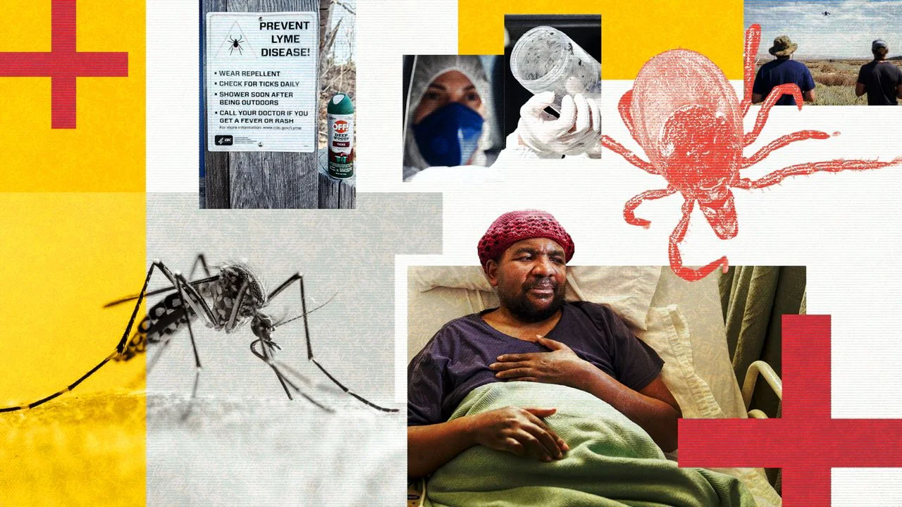Understanding the Public Health Impacts of Climate Change: Rising Risks and Adaptive Solutions