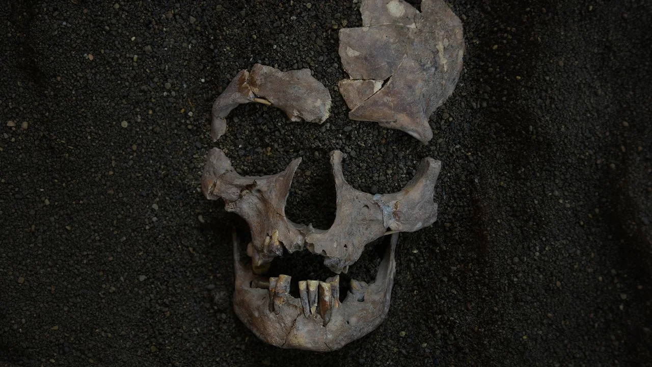 Ancient Habitual Drug Use Revealed Through Betel Nut Discovery in Indonesia
