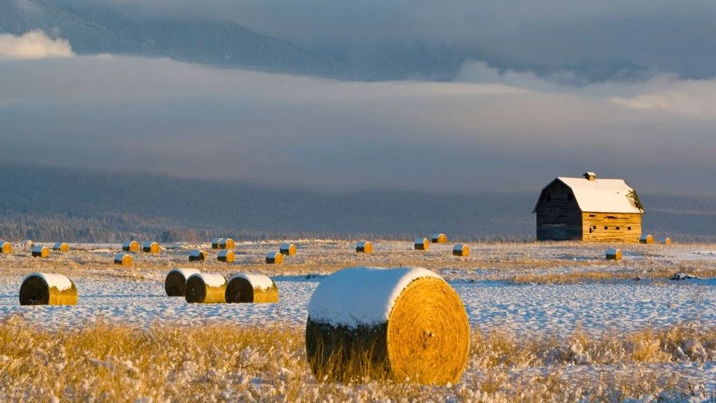 Potential Food Production Crisis Looms with Decline of Atlantic Ocean Currents
