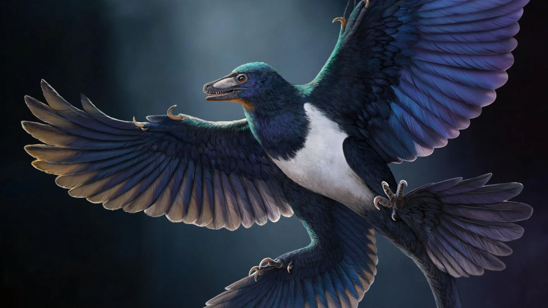 Fossil Discovery in China Sheds Light on Dinosaur Flight Evolution