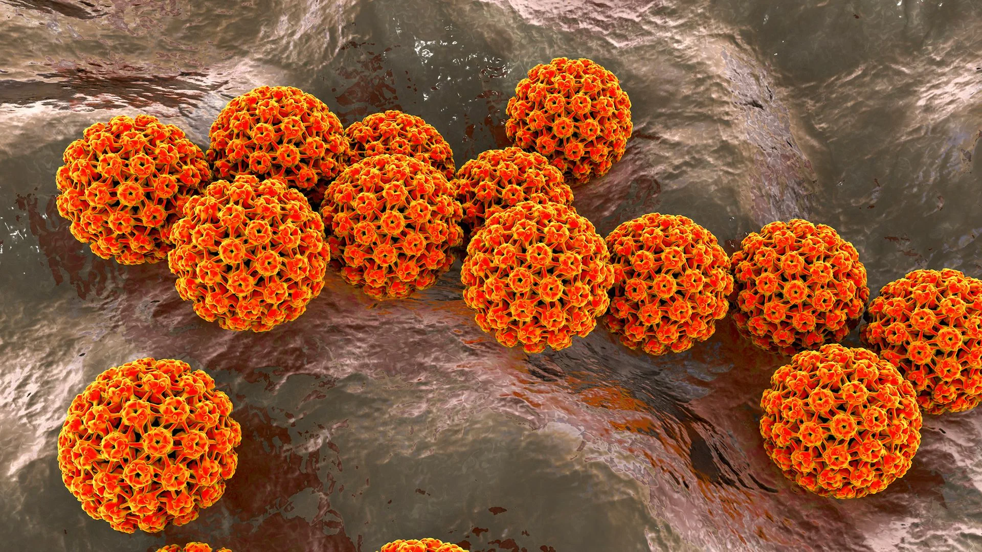 The Link Between Infections and Cancer: New Insights on Prevention Strategies