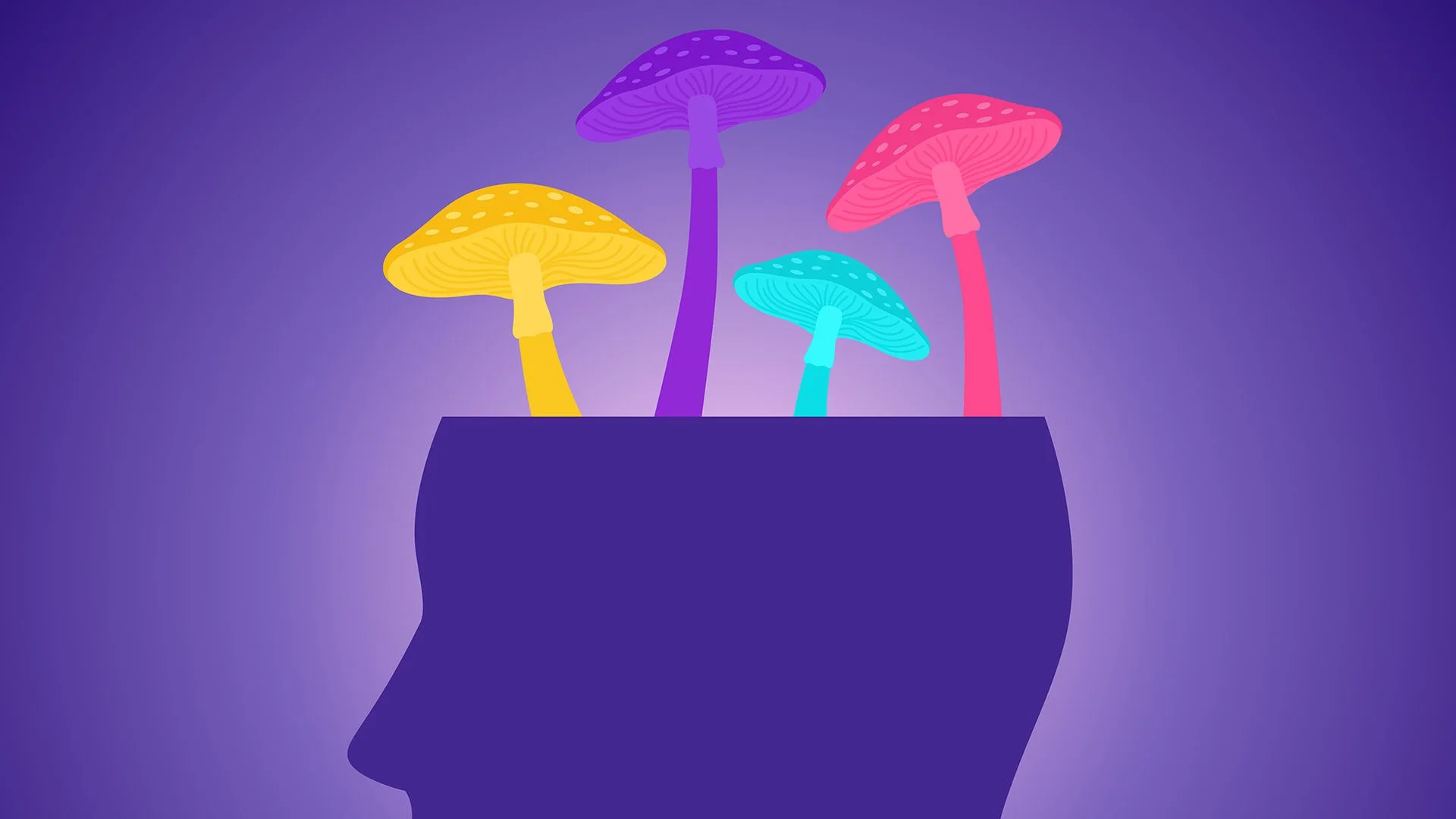 Exploring Psilocybin's Potential for Recovery After Mild Brain Injury