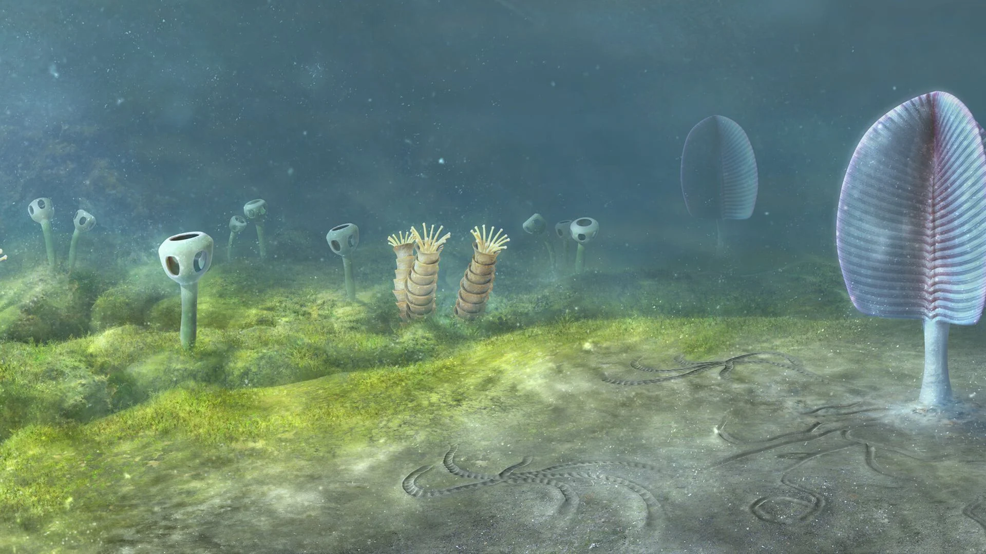 New Study Suggests Animals Emerged 200 Million Years Earlier Than Fossil Evidence Indicates