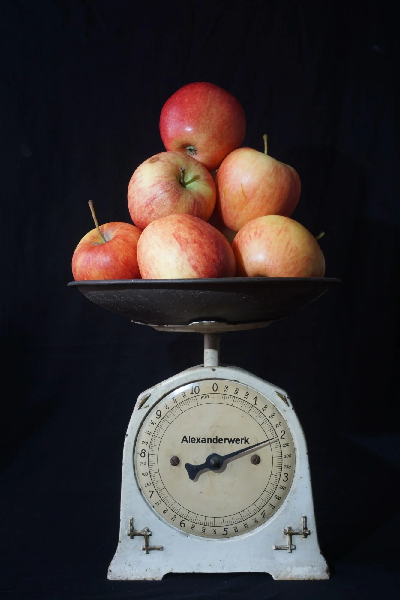 Understanding Gravity: The Consistent Force Shaping Our World